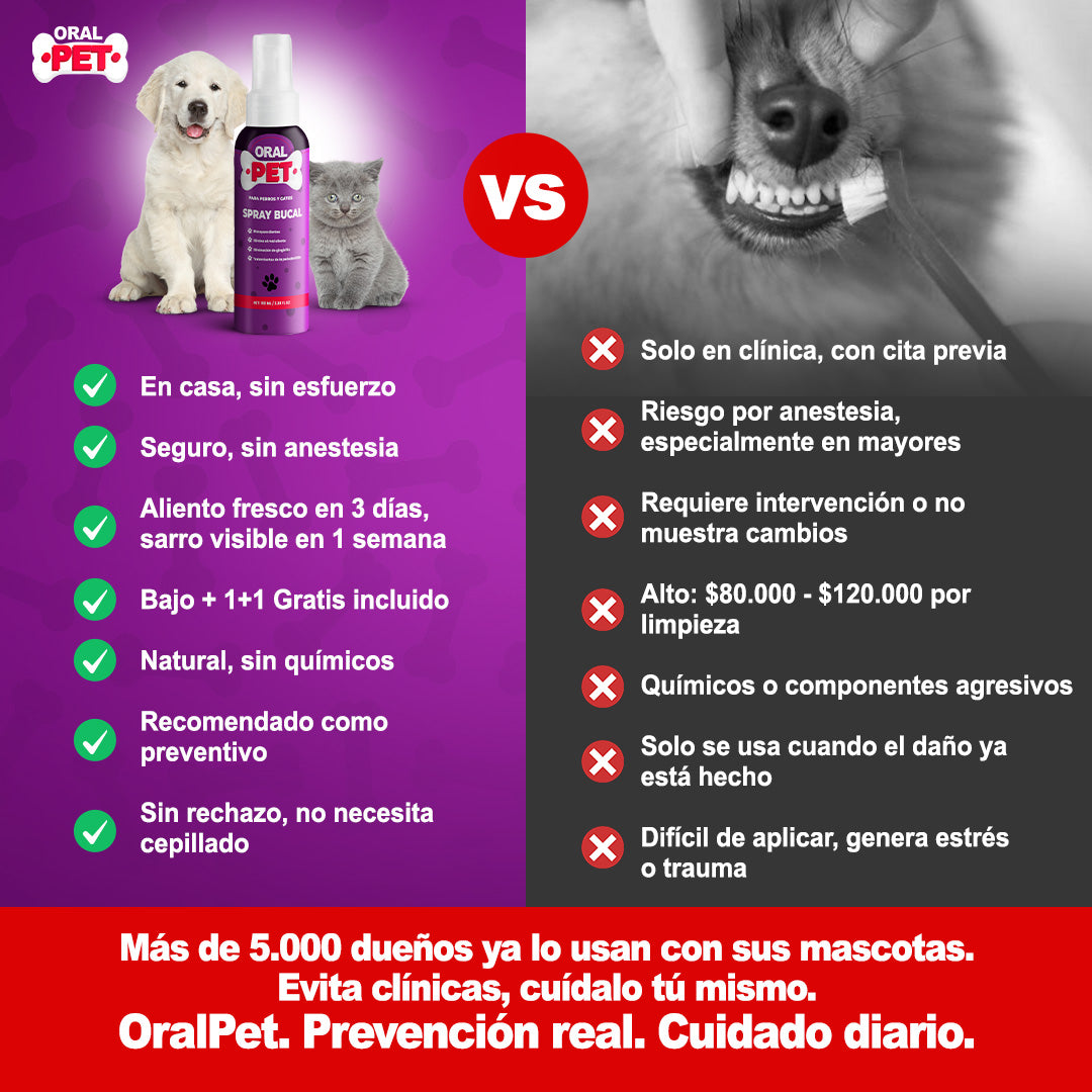 ORAL PET + 100ml/ Frescura en el aliento y Salud en sus dientes ⭐⭐⭐⭐⭐